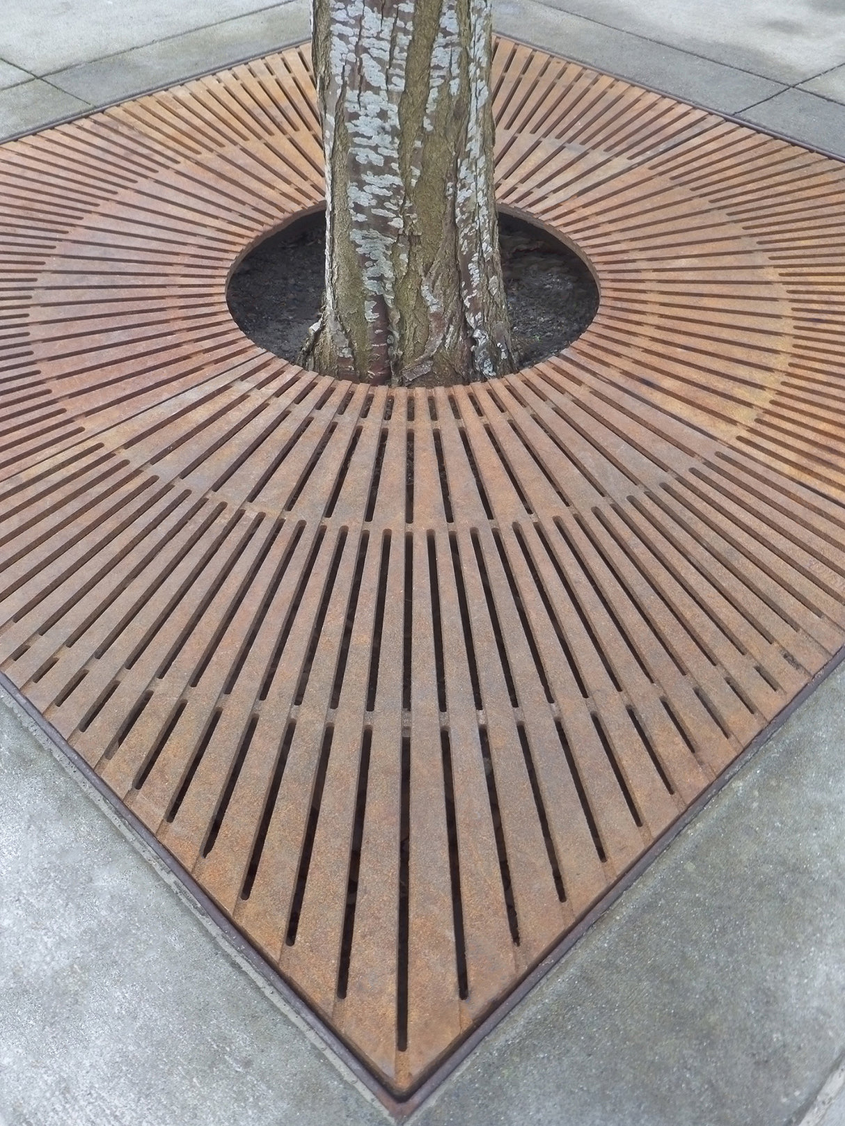 CORONA 4’ x 4’ Heel Proof Tree Grate - Iron Age