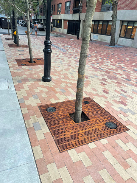 RAIN 4’ x 4’ Heel Proof Tree Grate - Iron Age