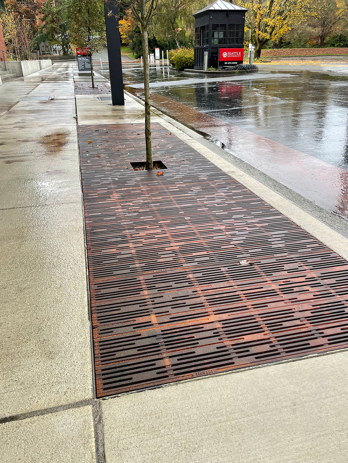 RAIN 4’ x 4’ Heel Proof Tree Grate - Iron Age