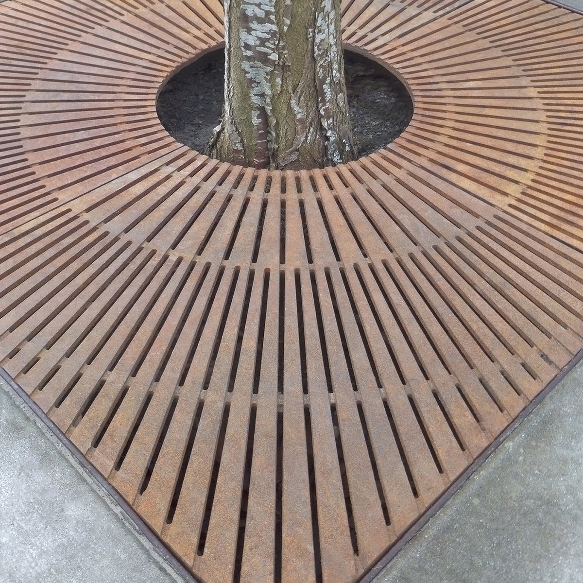 CORONA 4' x 4' Heel Proof Tree Grate for Sidewalk Safety ...