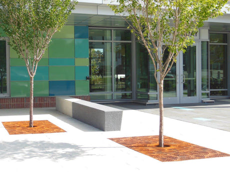 OBLIO 4' x 6' Heel Proof Tree Grate: Features, Design, and Benefits