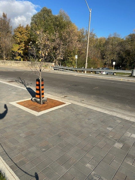 NorthStar Industries: Progress Update on the Downtown Unionville Revitalization Project