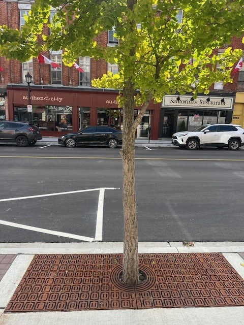 NorthStar Industries Celebrates the Completion of Walton Street Reconstruction in Port Hope, Ontario